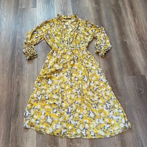 Zara dress